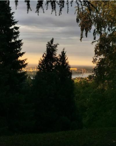 Outdoor Pictures 11