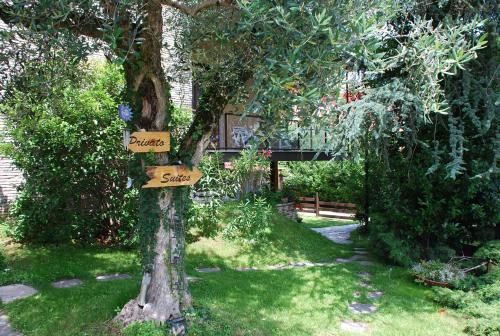 Outdoor Pictures 23