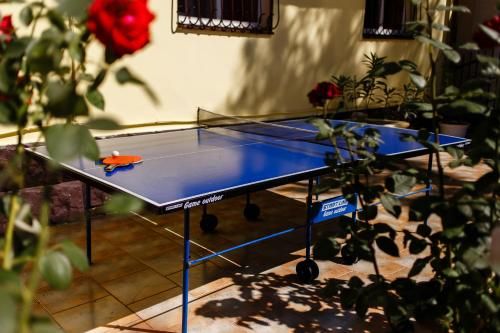 Outdoor Pictures 16
