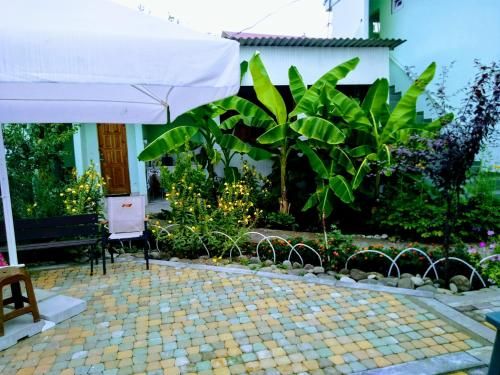 Outdoor Pictures 9