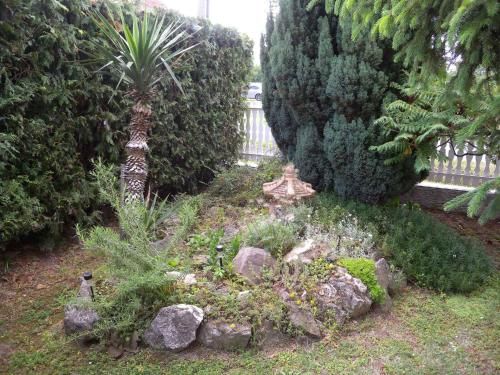 Outdoor Pictures 21