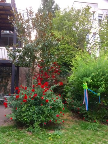 Outdoor Pictures 21