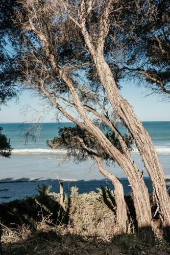 Outdoor Pictures 23