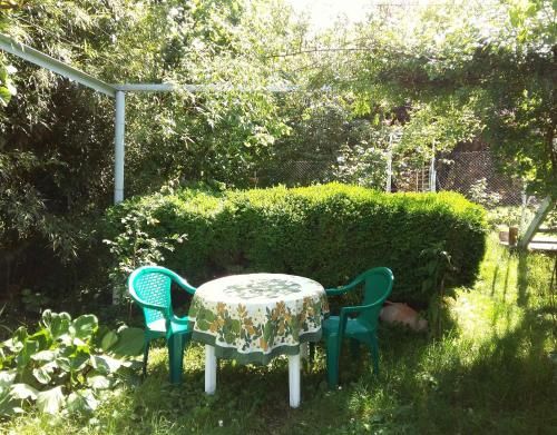 Outdoor Pictures 3