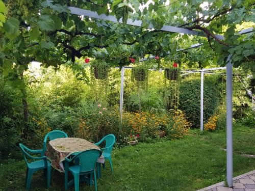 Outdoor Pictures 11