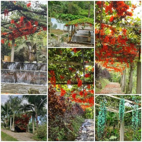 Finca Jardín del Agua