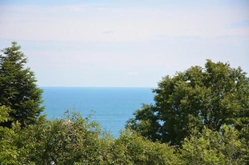 Outdoor Pictures 23