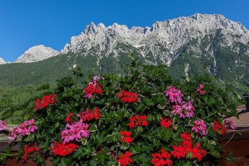 Outdoor Pictures 15