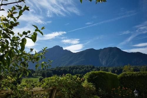 Outdoor Pictures 13