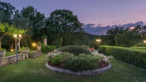 Outdoor Pictures 7