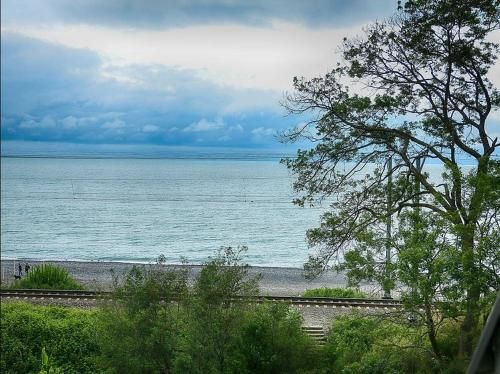 Outdoor Pictures 24