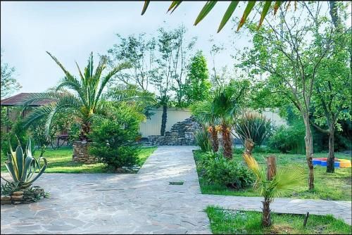 Outdoor Pictures 21
