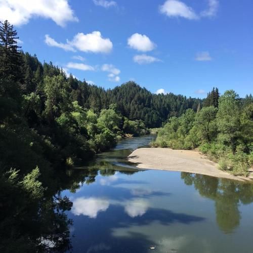 Happy Days! Downtown Guerneville! BBQ! Game Room!! Fast WiFi!! Dog Friendly!