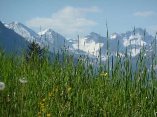 Outdoor Pictures 4