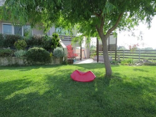 Outdoor Pictures 1