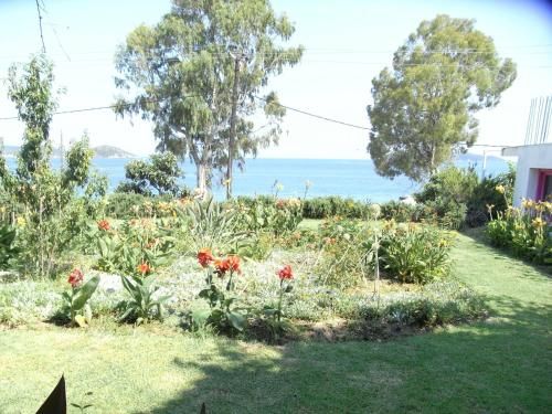 Outdoor Pictures 1