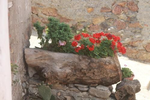 Outdoor Pictures 2