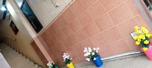 Outdoor Pictures 4