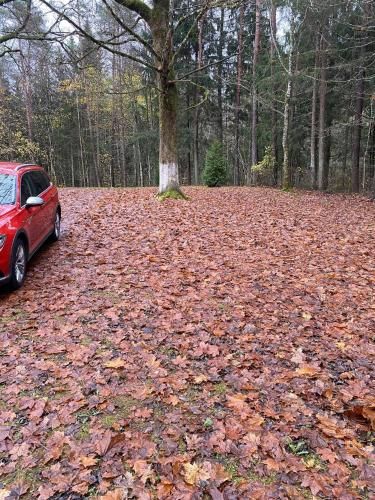 Outdoor Pictures 3