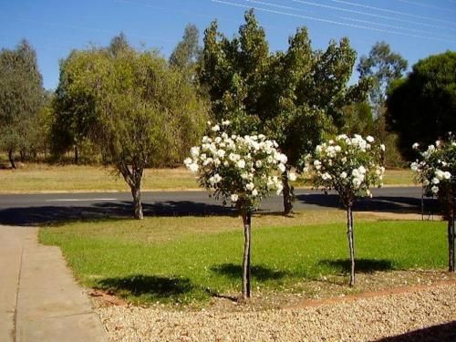 Outdoor Pictures 5