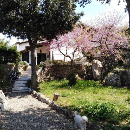 La Casa Di Cosa
