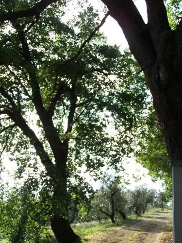 Outdoor Pictures 3