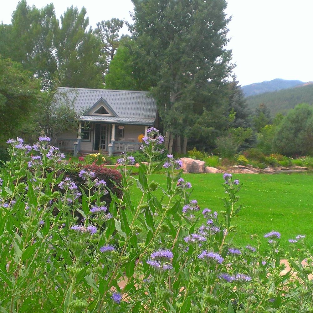 Outdoor Pictures 1