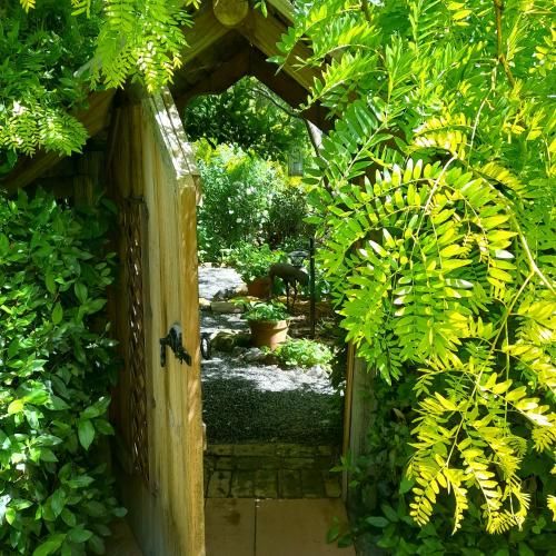 Outdoor Pictures 19