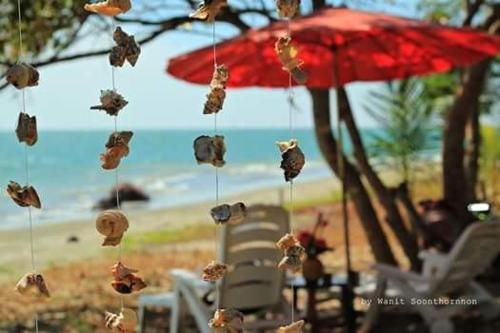 Outdoor Pictures 23