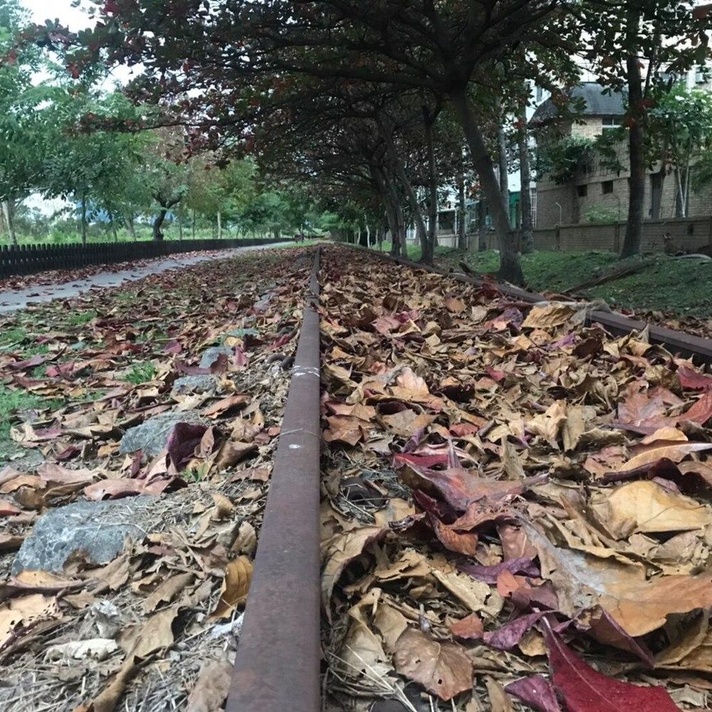 Outdoor Pictures 1