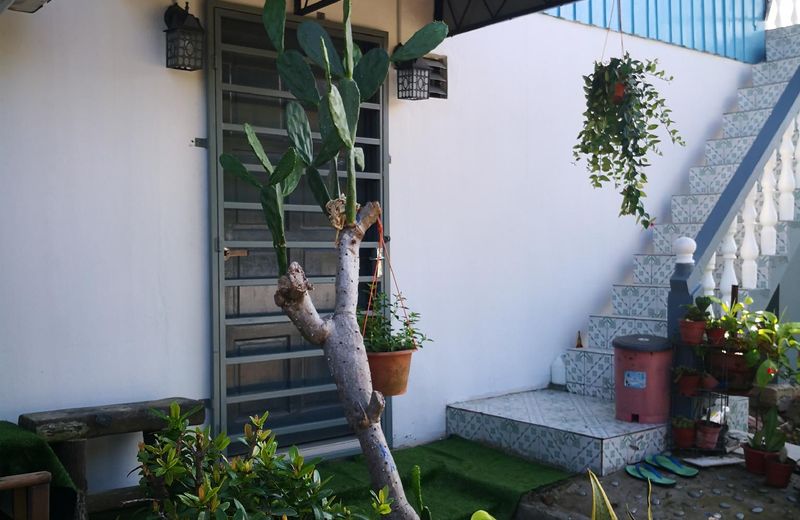D'Ros GuestHouse