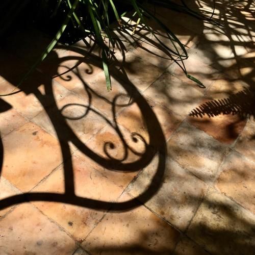 Outdoor Pictures 21