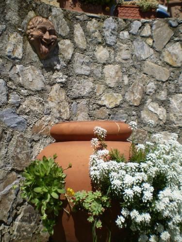 Outdoor Pictures 3