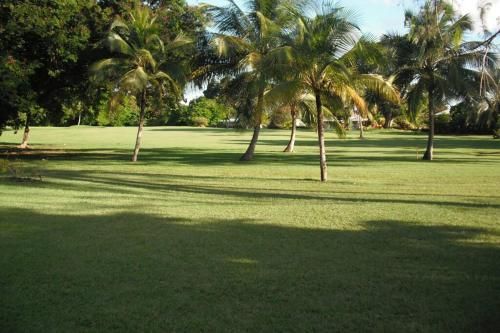 Outdoor Pictures 3