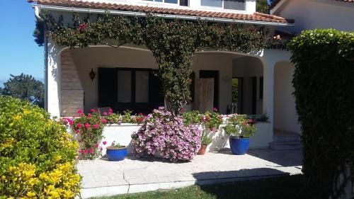 quinta Colina flora