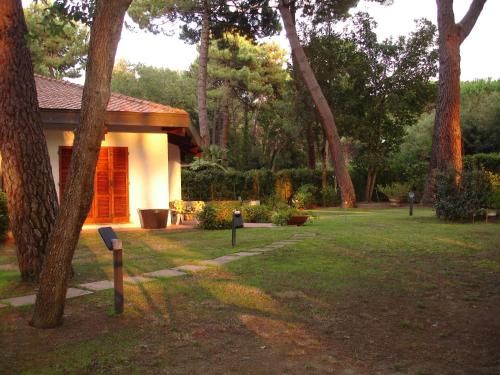 Outdoor Pictures 1