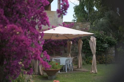 Outdoor Pictures 5