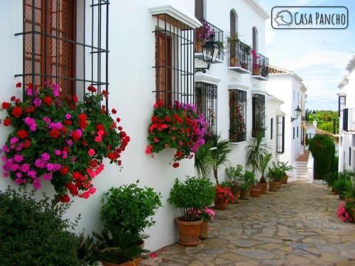 Apartamento Milla de oro 5 Personas
