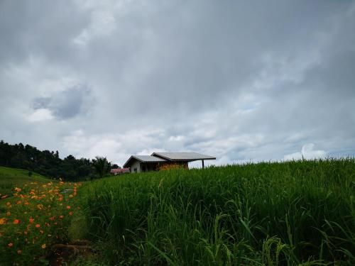 Outdoor Pictures 4