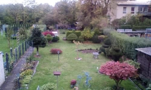 Outdoor Pictures 5