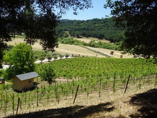 Tentrr - Vineyard Glamping