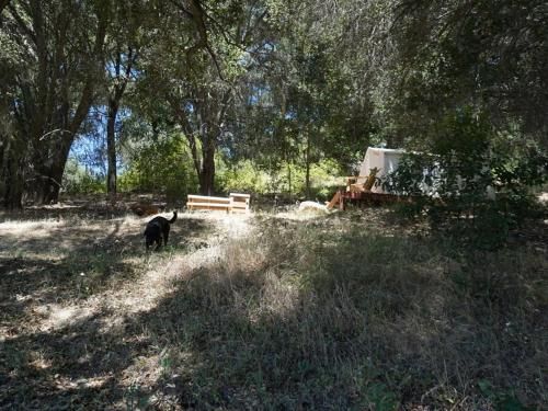 Tentrr - Vineyard Glamping