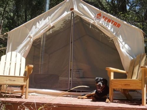 Tentrr - Vineyard Glamping