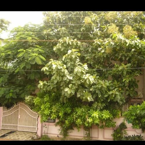 Outdoor Pictures 1