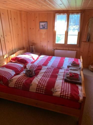 Erika's Lodge