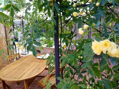 Outdoor Pictures 24
