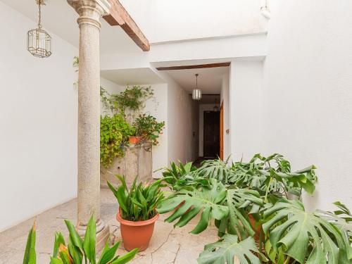 Delightful apartment situated in an old renovated premises
