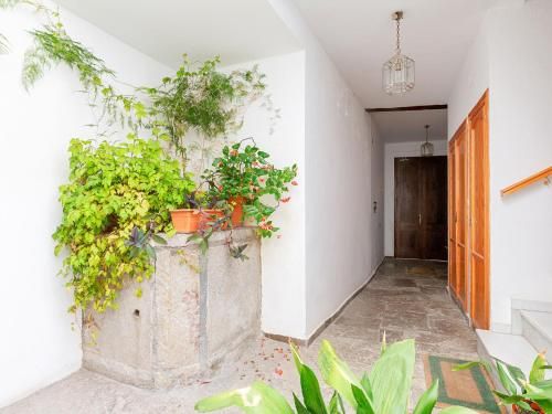 Delightful apartment situated in an old renovated premises