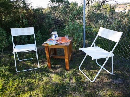 Outdoor Pictures 3