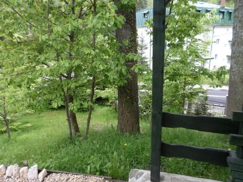 Outdoor Pictures 4